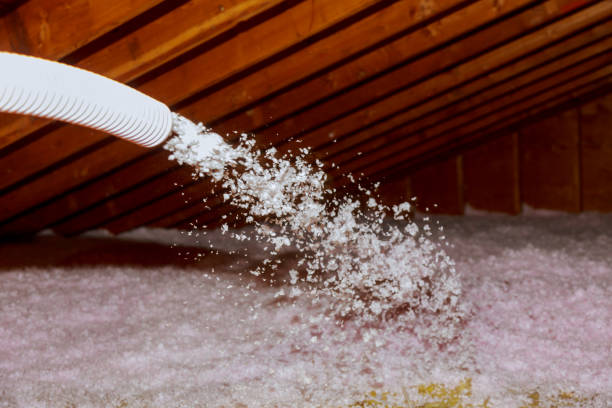 Best Garage Insulation Installation  in Hillsville, VA
